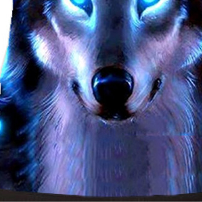 Boys 3D Animal Wolf T shirt Long Sleeve 3D Print Spring Fall Active Sports Fashion Kids 3-12 Years Outdoor Daily Regular Fit4