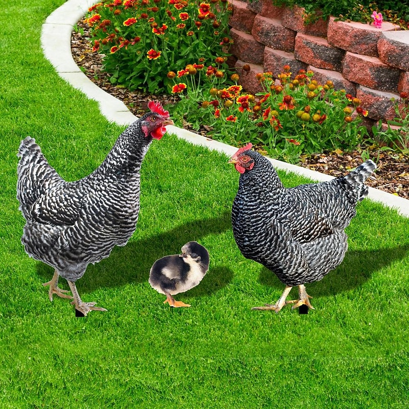 Acrylic 3d Simulation Cock Courtyard Ground Plug Yard Art Garden Outdoor Decor