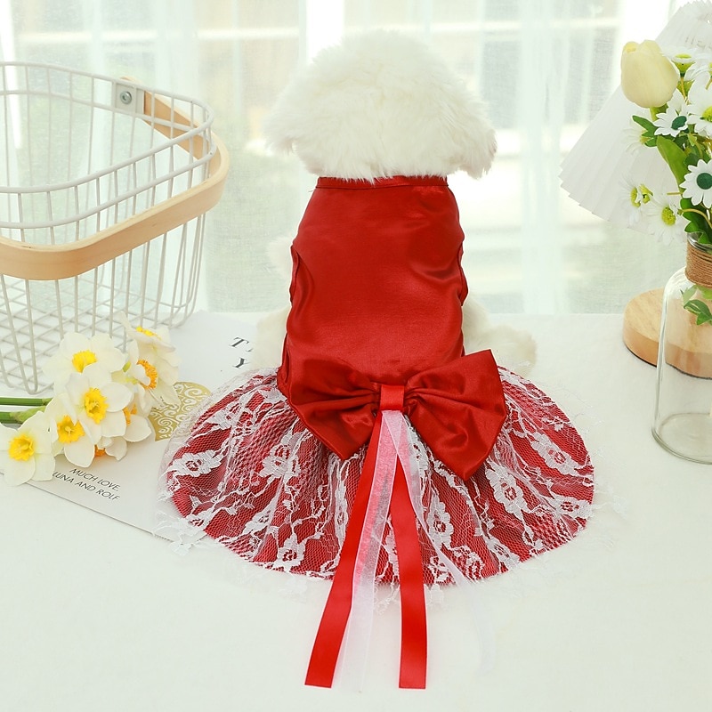 Dog Cat Dress Fashion Cute Winter Breathable Soft Washable Comfortable Outdoor Casual Daily Dog Clothing for Bichon Frise Pomeranian Baby Pet Papillon Small2