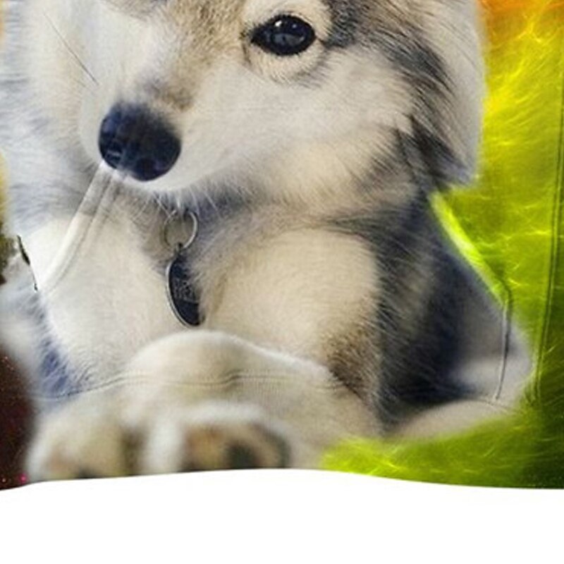 Kids Boys Hoodie Long Sleeve 3D Print Dog Animal Pocket Yellow Children Tops Fall Spring Active Fashion Daily Daily Indoor Outdoor Regular Fit 3-13 Years2