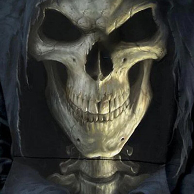 Halloween Boys 3D Skull Hoodie Long Sleeve 3D Print Spring Fall Active Sports Fashion Polyester Kids 3-13 Years Outdoor Daily Indoor Regular Fit3