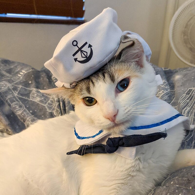 Pet Clothing Clothing Dog Cat Hat Sailor Suit Navy Suit Sailing Suit Cape2