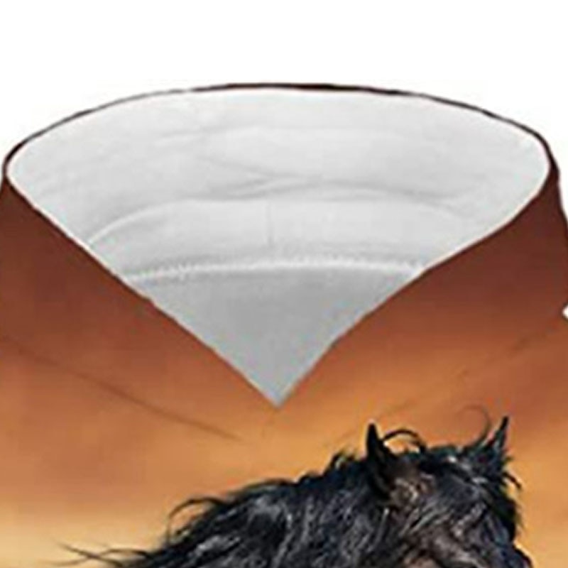 Boys 3D Animal Horse Hoodie Long Sleeve 3D Print Fall Winter Active Sports Fashion Kids 3-13 Years Outdoor Daily Indoor Regular Fit4