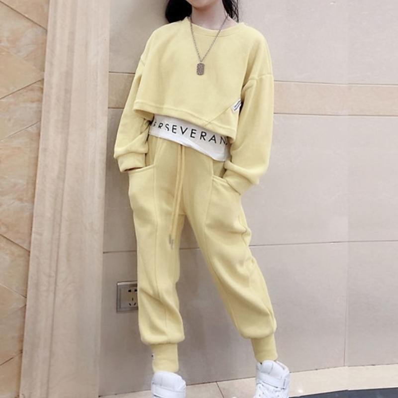 Kids Girls' Sweatshirt & Pants 2 Pieces Clothing Set Long Sleeve Gray Purple Pink Solid Color Sports Vacation Fashion Comfort 3-12 Years3