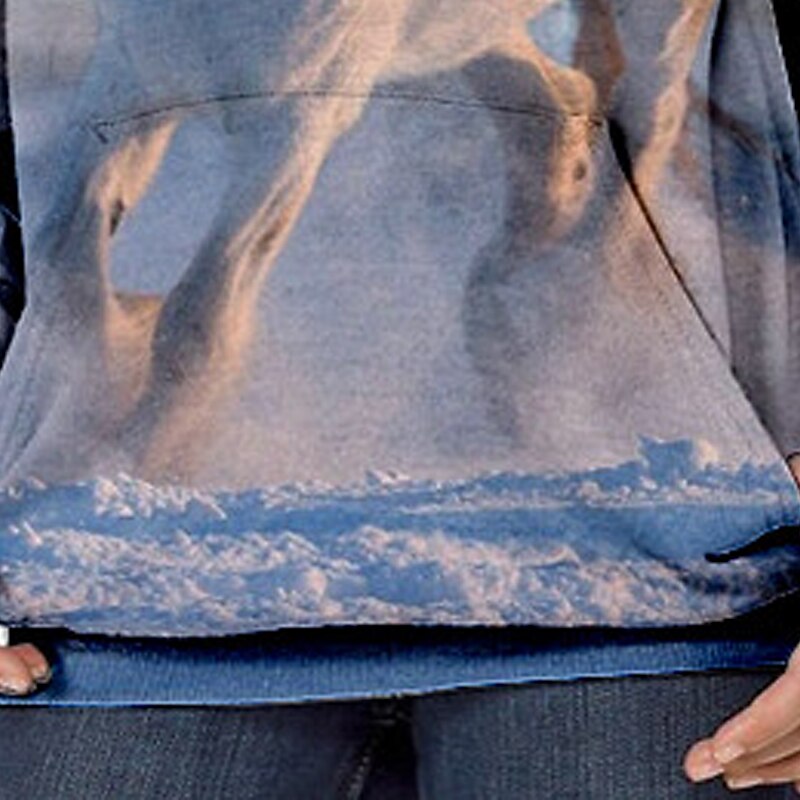 Girls' 3D Animal Horse Hoodie Long Sleeve 3D Print Fall Winter Fashion Streetwear Adorable Kids 3-13 Years Outdoor Daily Indoor Regular Fit4