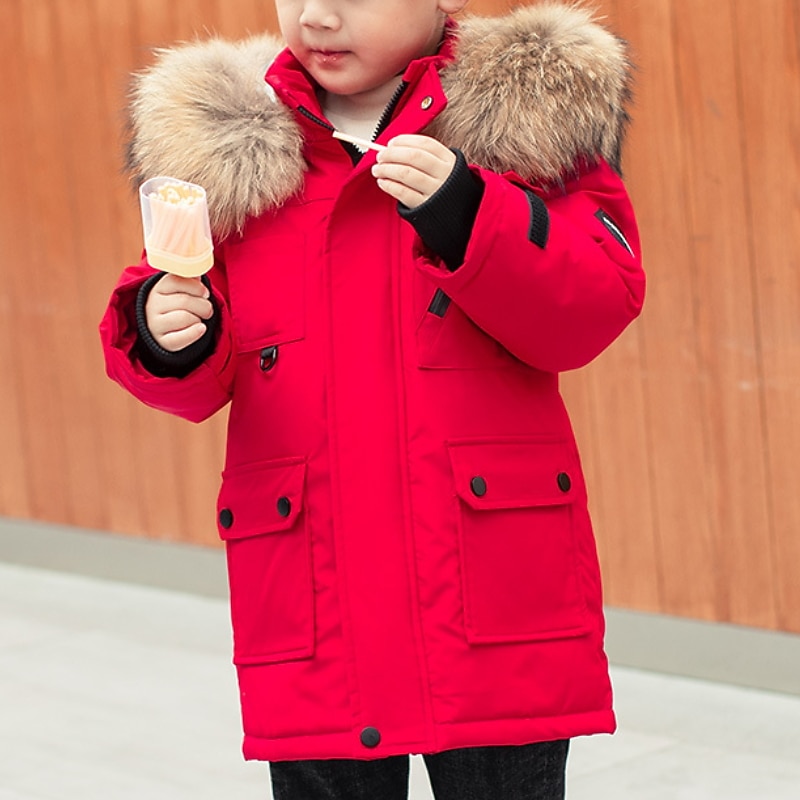 Boys' 3D Kids Puffer Jacket Plain Down Coat Puffer Jacket Long Sleeve Fall Winter Active Cool Kids 3-10 Years Vacation Daily Regular Fit2