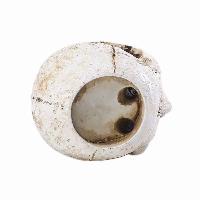 Halloween Skull Resin Candle Holder - Skeleton Candlestick Halloween Decoration (Not Include Cande)3
