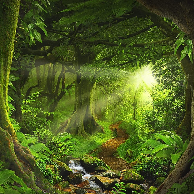 Landscape Large Tapestry Tree Cave Nature Tapestry Wall Hanging Misty Tree Tapestry Jungle Creek Tapestry Sunshine Through Tree for Bedroom Living Room4