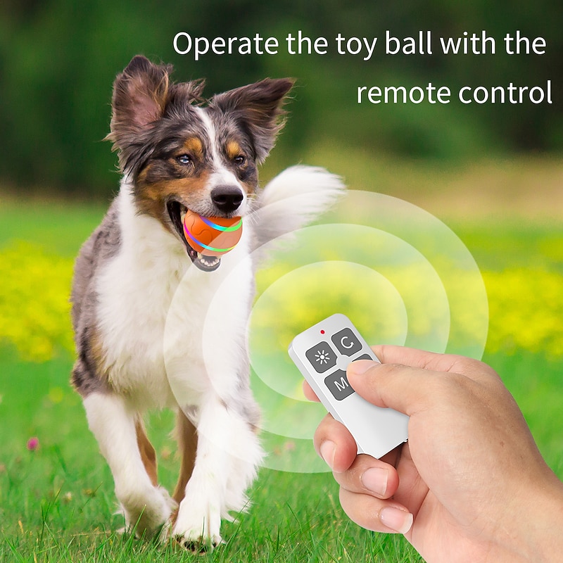 Interactive Dog Toy Ball Remote Control for Indoor Cats Dogs with Motion Activated USB Rechargeable2