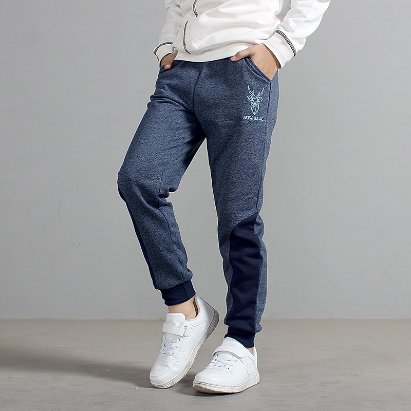 Kids Boys Sweatpants Trousers Cartoon Letter Pants Outdoor Cotton Daily Dark Gray Navy Blue Grey / Winter / Fall4