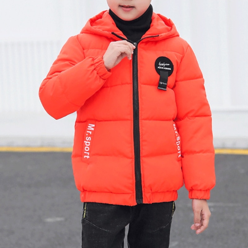 Boys 3D Plain Coat Long Sleeve Fall Winter Active Cool Polyester Kids 4-13 Years Daily Vacation Regular Fit2