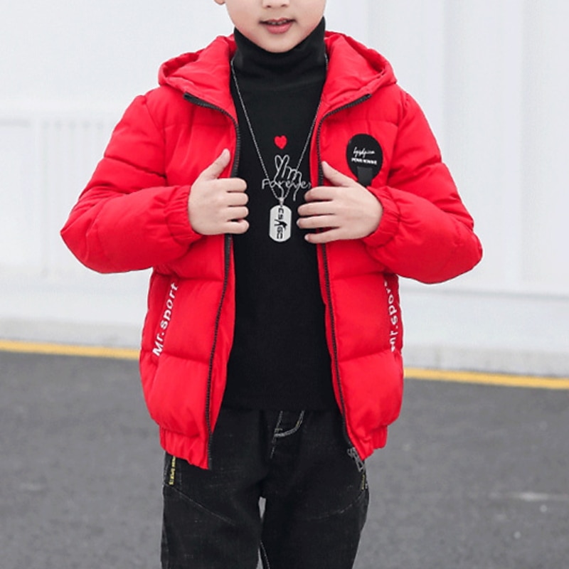Boys 3D Plain Coat Long Sleeve Fall Winter Active Cool Polyester Kids 4-13 Years Daily Vacation Regular Fit