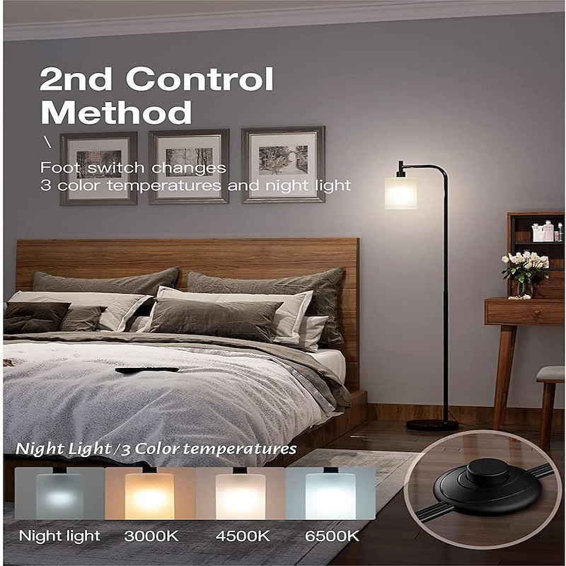 LED Floor Lamp with Suspended Frosted Glass Lampshade and Unique Intelligent or Dual Color LED Bulb Suitable for High Pole Lamp in Bedroom Living Room and Office AC220V AC110V3