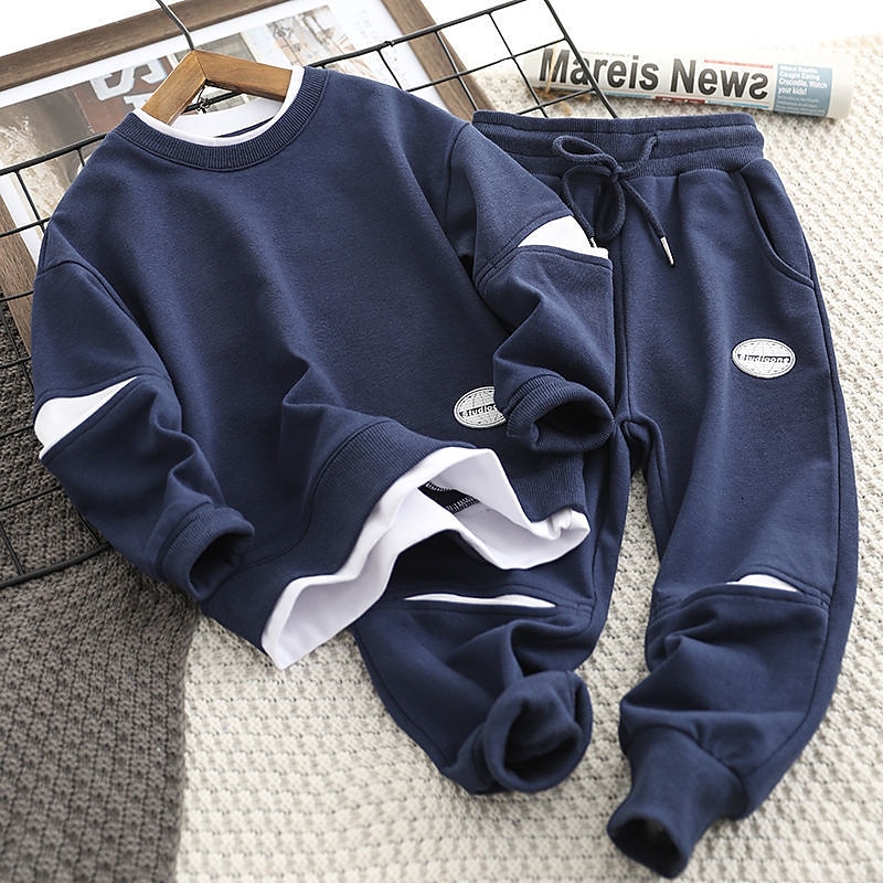 Boys 3D Solid Color Hoodie & Sweatpants Set Clothing Set Long Sleeve Fall Winter Daily Casual Kids 4-13 Years Vacation Regular Fit