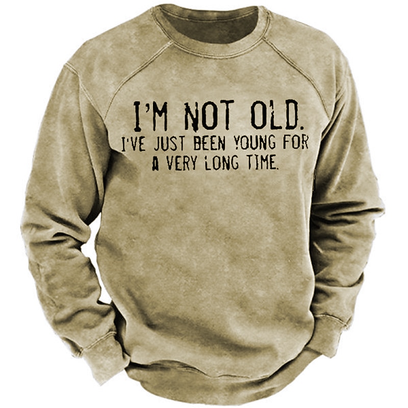 Men's Graphic Letter Sweatshirt Pullover Long Sleeve Sweatshirt Crew Neck Vintage Designer Retro 3D Print Sports & Outdoor Casual Daily Print Spring & Summer2