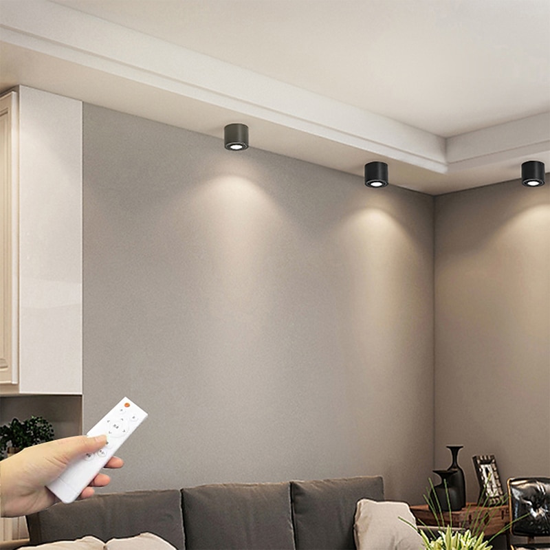 LED Ceiling Light Dimmable, 24.5 cm Ceiling Lights Aluminum Modern Style Painted Finishes LED 110-240V2