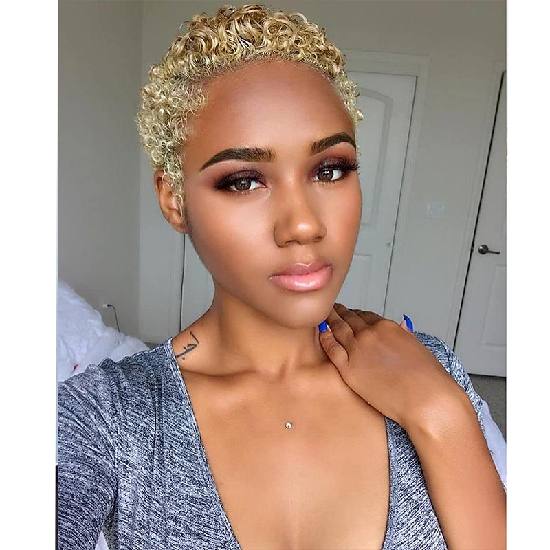Short Curly Hair Wig Synthetic Curly Wigs for Black Women African American Women Wigs Short Hairstyle