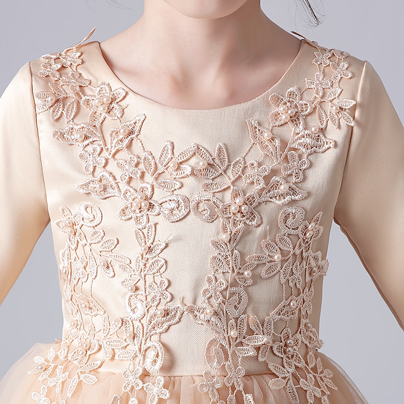 Flower Girl Dress Girls' Dress Princess Dress Party Dress Wedding Party Birthday Princess Sweet Children's Day Flower Long Sleeve Crew Neck White Pink 3-12 Years3