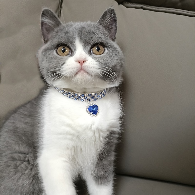 2 Pcs Pearls Diamond Pet Cat Dog Necklace Collar Jewelry with Bling Rhinestones for Pets Cats Small Dogs Female Puppy Chihuahua Yorkies Girl Costume Outfits Adjustable3