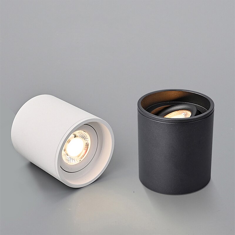 LED Ceiling Light Dimmable, 24.5 cm Ceiling Lights Aluminum Modern Style Painted Finishes LED 110-240V3