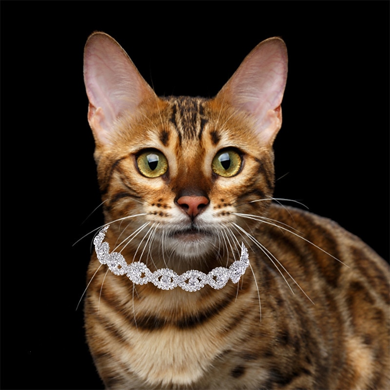 2 Pcs Necklace for Small Dog Pet Jewelry Dog Necklace Faux Pearl Dog Collar Beaded Dog Collar for Cat Puppy Kitten Chihuahua Yorkie Girl Costume Outfits Accessories2