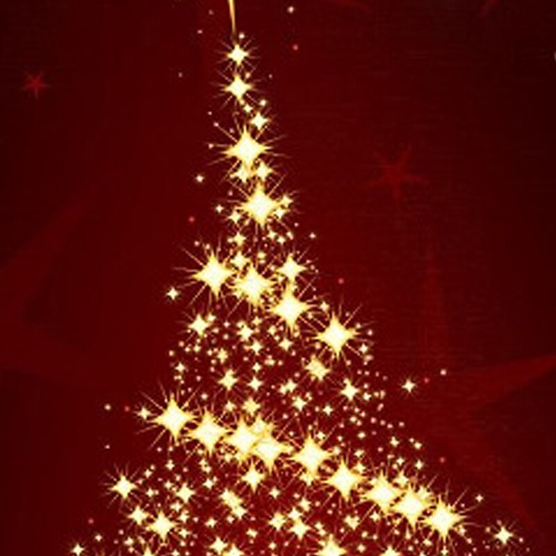 Kids Girls' Christmas Dress Dress Tree Long Sleeve Christmas Gifts Casual Fur Trim Crewneck Adorable Daily Polyester Above Knee Casual Dress Swing Dress A Line Dress Fall Winter 2-13 Years Black Wine2