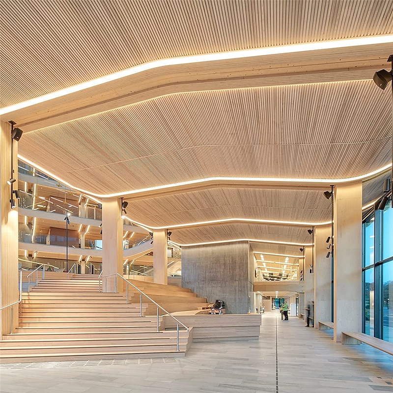 LED Neon Rope Light Flexible Waterproof Neon Strip Light 220V-240V Neon Rope Lights for Bedroom and Indoor Outdoor Decor for Halloween3