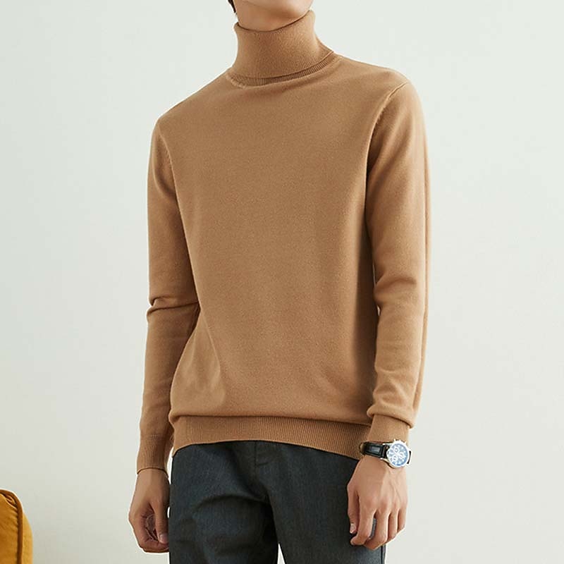 Men's Turtleneck Sweater Sweater Wool Sweater Cashmere Cashmere Sweater Ribbed Knit Cropped Knitted Solid Color Turtleneck Keep Warm Modern Contemporary Work Daily Wear Clothing Apparel Fall & Winter