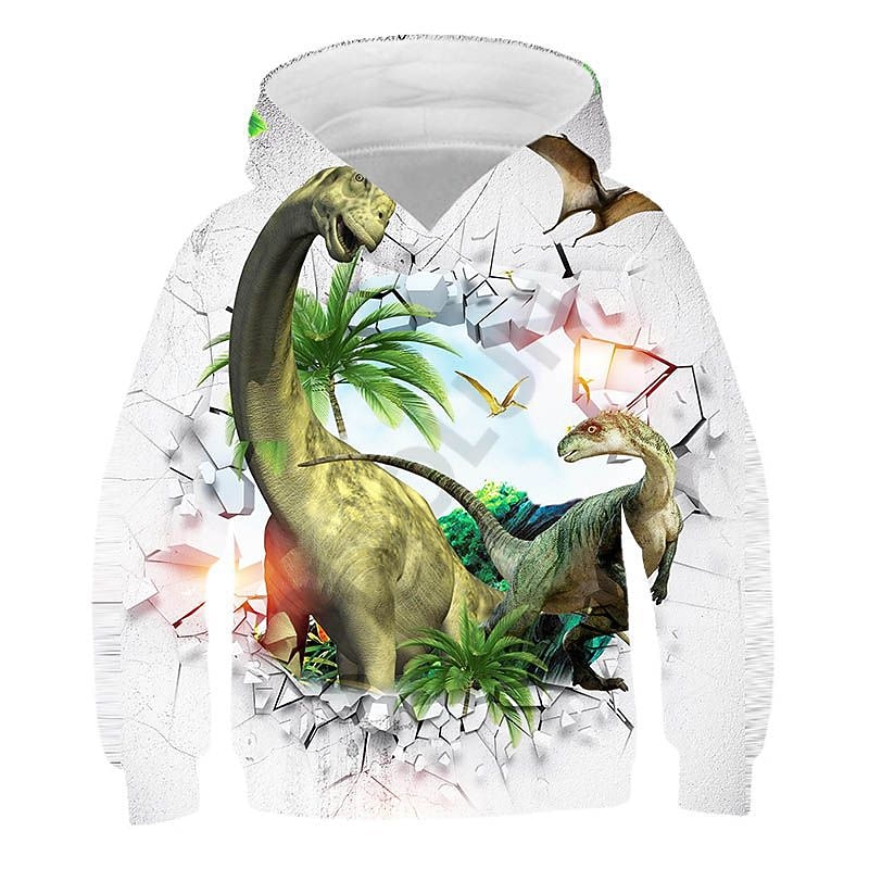 Kids Boys Hoodie Dinosaur Long Sleeve Fall Winter Active Fashion Cotton Casual4