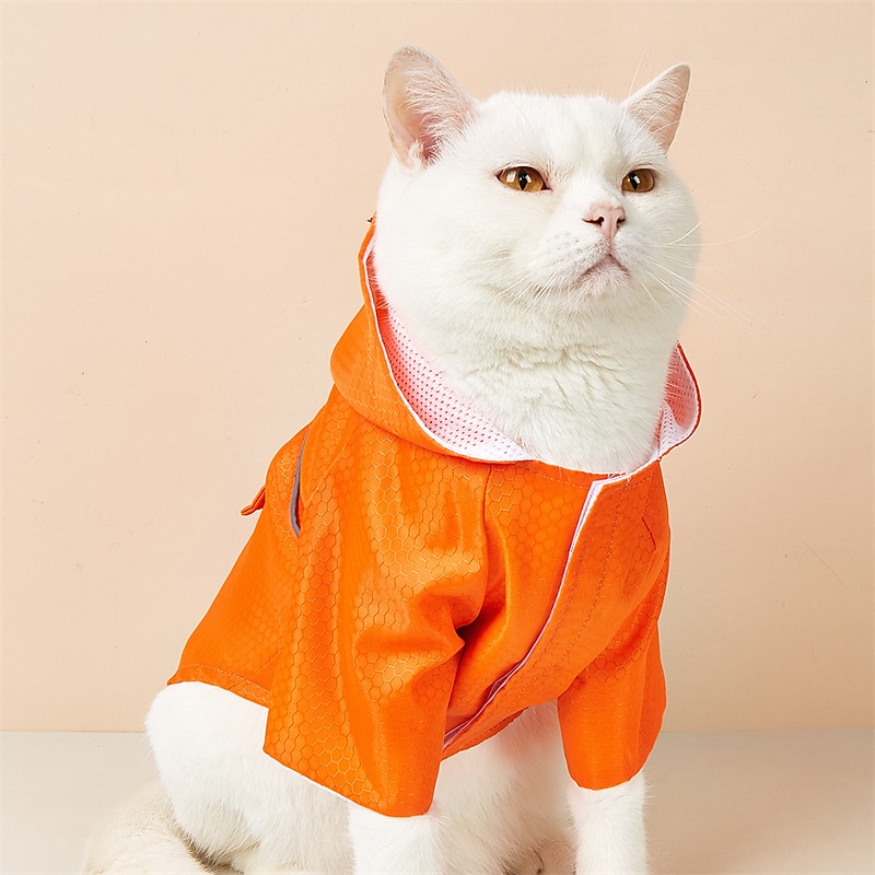 Dog Cat Rain Coat Rain Jacket Stylish Ordinary Casual Daily Waterproof Soft Comfortable Outdoor Holiday Casual Daily Walking Dog Clothing for Bichon Frise Pomeranian Baby Pet Papillon Small2