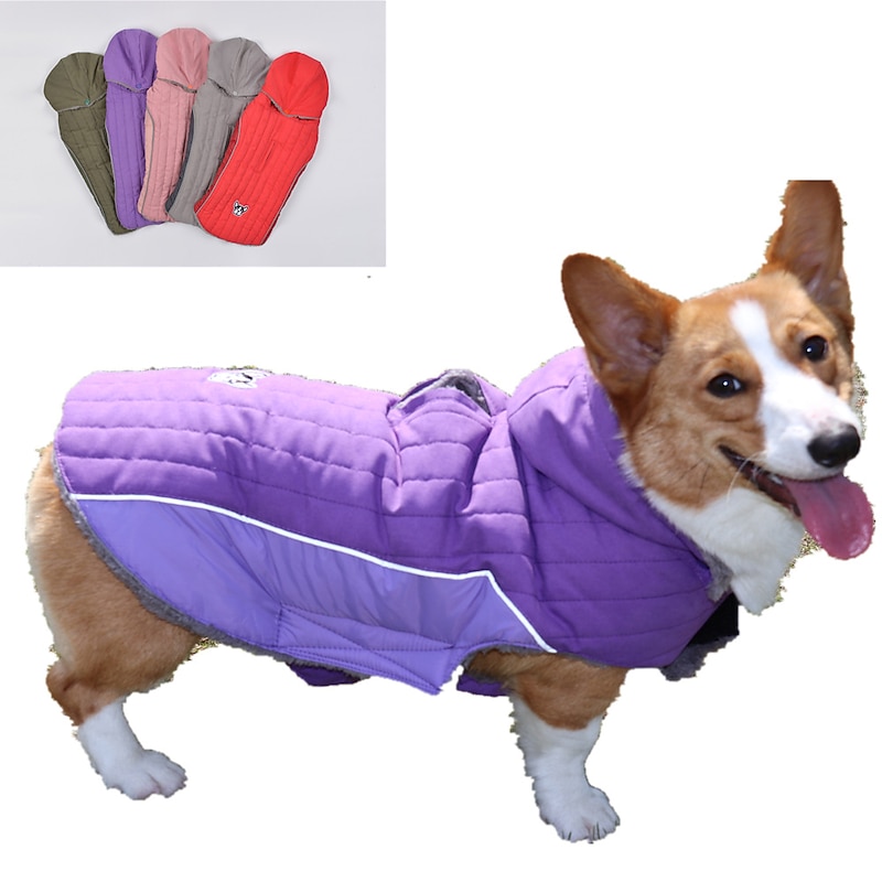 Dog Cat Coat Jacket Cute Casual Winter Warm Breathable Soft Washable Comfortable Outdoor Casual Daily Dog Clothing for Bichon Frise Pomeranian Baby Pet Papillon Small3