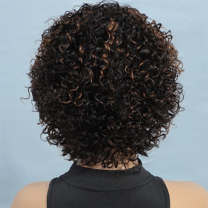 Ombre Short Curly Wigs For Black Women Short Curly Wigs Highlighted Piano Color Side Part Wigs For Older Women4