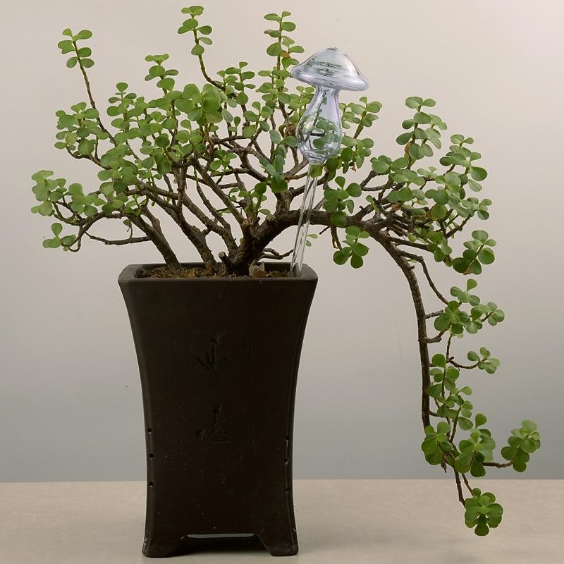 Plant Watering Spike Glass Mushroom Shape Plant Automatic Watering Bulb,for Vacation Potted Plant Watering3