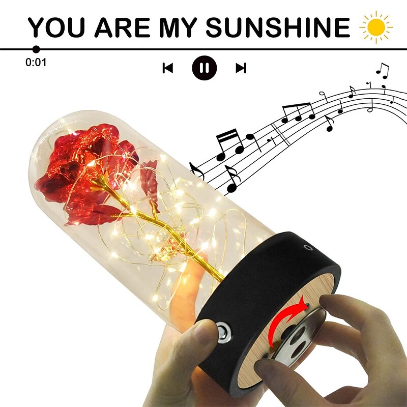 Galaxy Rose Lamps Eternal Galaxy Enchanted Rose Music Box with Remote Control, Forever Flower Perfect Christmas, Mother's Day, Anniversary, Birthday Gift for Women, Mom, Grandma, Wife3