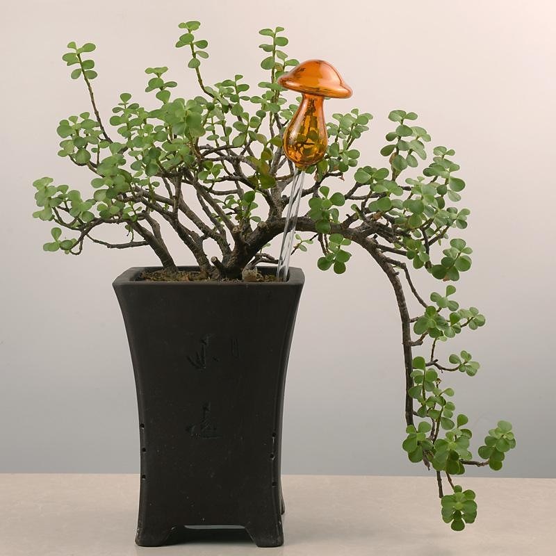 Plant Watering Spike Glass Mushroom Shape Plant Automatic Watering Bulb,for Vacation Potted Plant Watering2