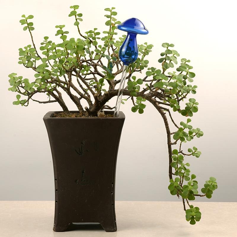 Plant Watering Spike Glass Mushroom Shape Plant Automatic Watering Bulb,for Vacation Potted Plant Watering4