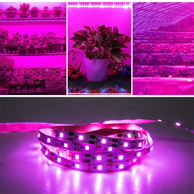 Plant Grow Light LED Strip USB Full Spectrum DC 5V 0.5-3m Phyto Lamp for Vegetable Flower Seedling Grow Tent Box Waterproof2