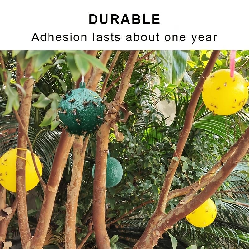 Sticky Traps Balls, Houseplant Sticky Bug Traps Capturing Fruit Flies, Mosquitoes Other Flying Insects, Cute Ball Design, Sticky Fruit Fly Traps For Indoor/Outdoor/Fields And Gardens2
