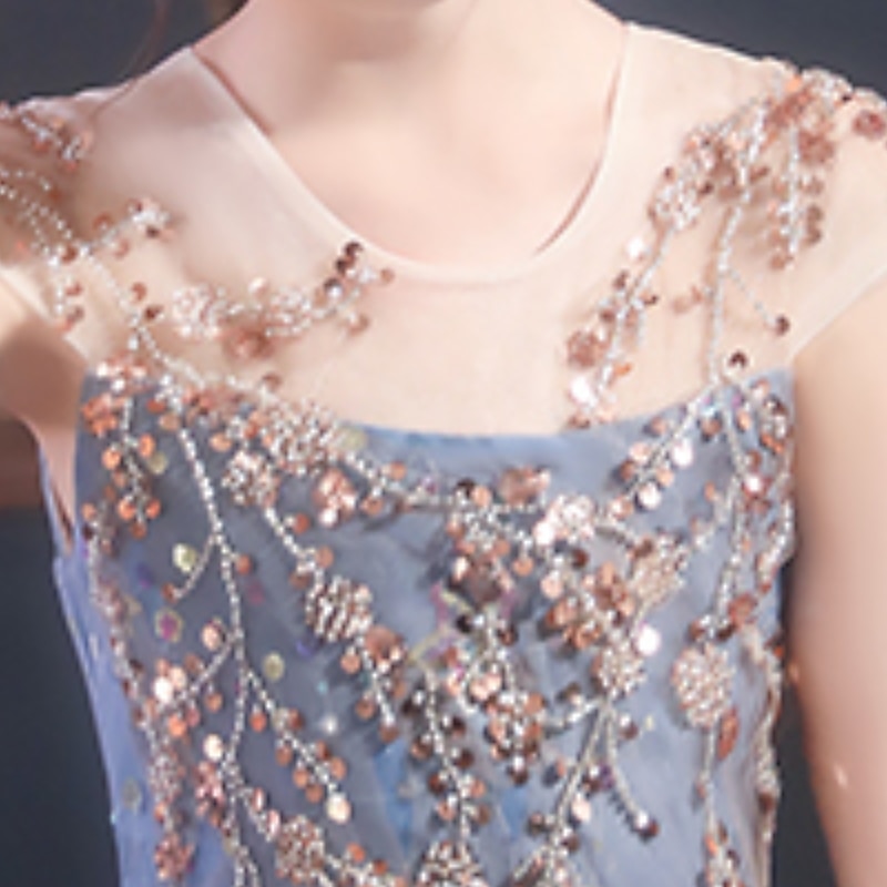 Kids Girls' Party Dress Sequin Short Sleeve Performance Wedding Ruched Mesh Fashion Princess Polyester Midi Party Dress Swing Dress Summer Spring 3-12 Years Blue4