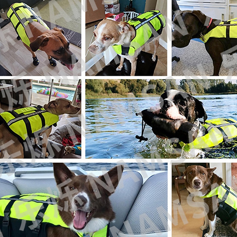 Dog Life Vest Dog Life Jacket Fashion Casual Sports & Outdoors Safety Beach Pool Dog Clothing for Husky Golden Retriever Bichon Frise Pomeranian Small3