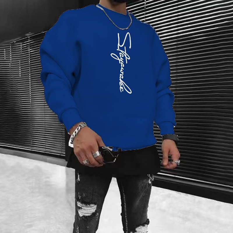 Men's Solid Color Pullover Long Sleeve Sweatshirt Crew Neck Streetwear Sportswear Basic Hot Stamping Sports & Outdoor Casual Streetwear Oversized Spring Fall4