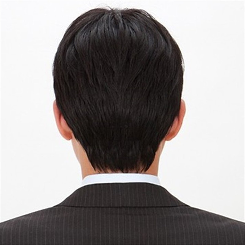 Men's Wig European and American Foreign Trade Fashion Handsome Short Straight Hair Fluffy Texture Men's Short Hair Chemical Fiber Wigs3