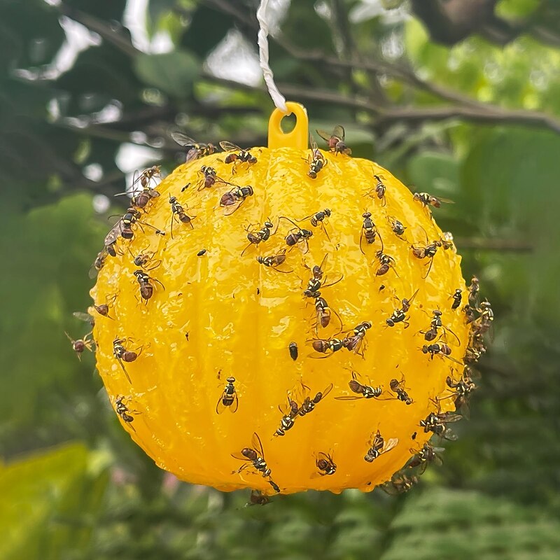 Sticky Traps Balls, Houseplant Sticky Bug Traps Capturing Fruit Flies, Mosquitoes Other Flying Insects, Cute Ball Design, Sticky Fruit Fly Traps For Indoor/Outdoor/Fields And Gardens