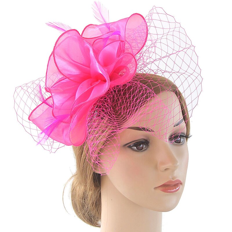 Fascinators Kentucky Derby Hat Organza Polyester / Polyamide Fedora Hat Floppy Hat Veil Hat Tea Party Horse Race Ladies Day Vintage Vintage Style Elegant With Feather Appliques