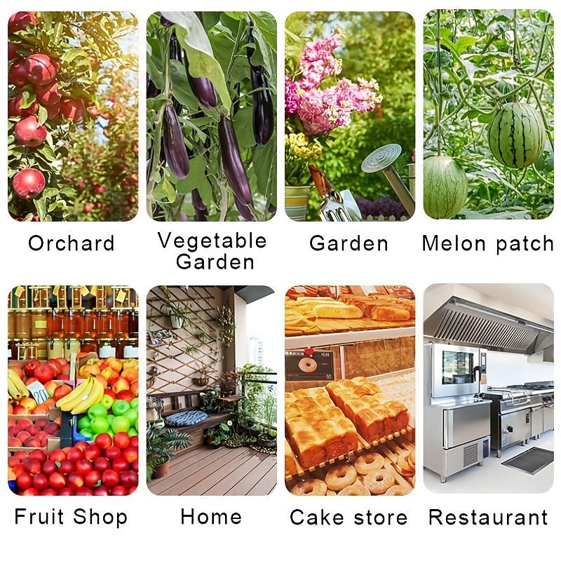 Sticky Traps Balls, Houseplant Sticky Bug Traps Capturing Fruit Flies, Mosquitoes Other Flying Insects, Cute Ball Design, Sticky Fruit Fly Traps For Indoor/Outdoor/Fields And Gardens3