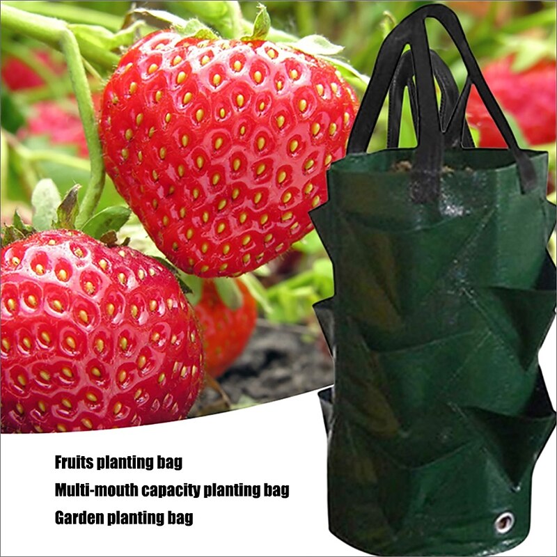 Vertical Strawberry Planting Grow Bags Growing Bags with 10 Pocket Planter Grow Bag - Gardening Wall Hanging Vegetable Planting Tools3