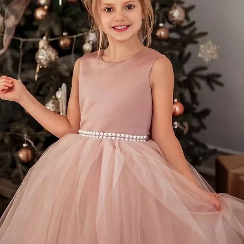 Kids Girls' Flower Girl Dress Party Dress Solid Color Sleeveless Formal Performance Wedding Mesh Princess Sweet Mesh Maxi Sheath Dress Tulle Dress Summer Spring Fall 2-12 Years 4-12 Years Multicolor4