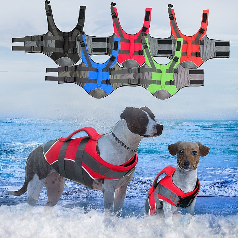 Dog Life Vest Dog Life Jacket Fashion Sports & Outdoors Safety Beach Pool Dog Clothing for Husky Golden Retriever Bichon Frise Pomeranian Small2