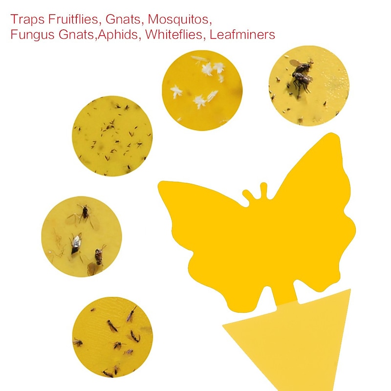 20Pcs Fruit Fly Traps Fungus Gnat Traps Yellow Sticky Bug Traps  Non-Toxic and Odorless for Indoor Outdoor Use Protect The Plant.2