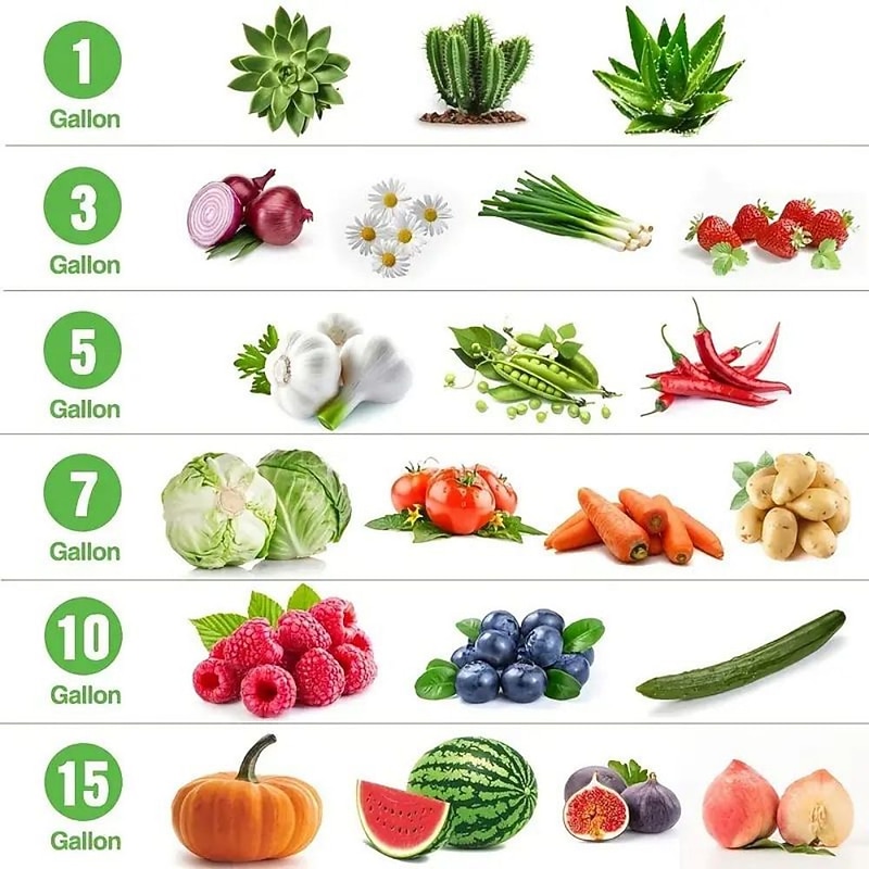 5-Pack Plant Grow Bags3/5/7/10Gallons Plant Fabric Pots Garden Container Heavy Duty Aeration Fabric Pots Thickened Nonwoven Fabric Grow Bags With Flap Handles For Veggies Flower Planter3